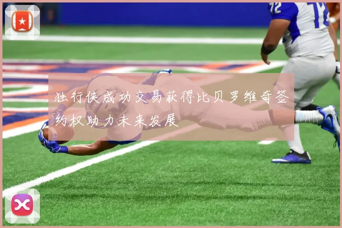 独行侠成功交易获得比贝罗维奇签约权助力未来发展
